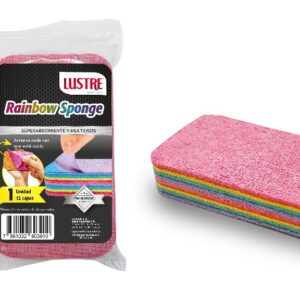 Rainbow Sponge